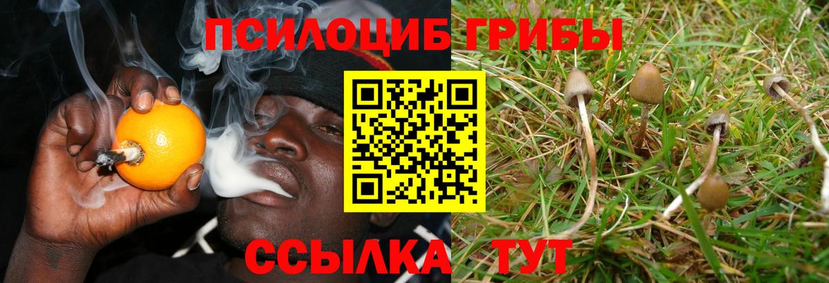 Меф Ржев