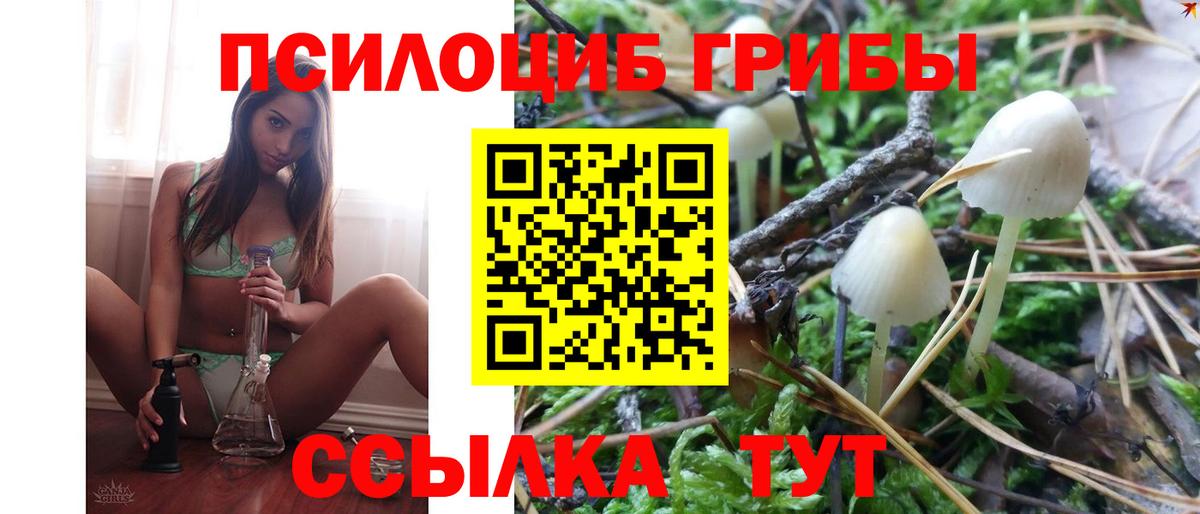 Псилоцибиновые грибы GOLDEN TEACHER  купить наркотики цена  Вход с VPN  Ржев  Псилоцибиновые грибы Magic Shrooms 